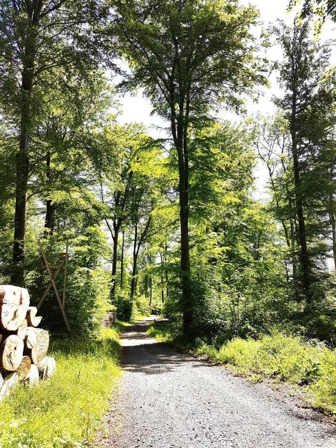 Steewer Landhaus Gemuetliche Ferienwohnung Bis 6 Pers In Ruhiger Ortsrandlage Stebach Экстерьер фото