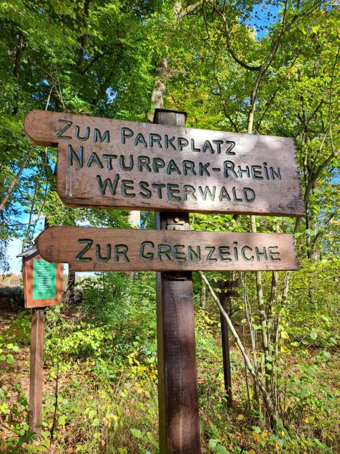 Steewer Landhaus Gemuetliche Ferienwohnung Bis 6 Pers In Ruhiger Ortsrandlage Stebach Экстерьер фото