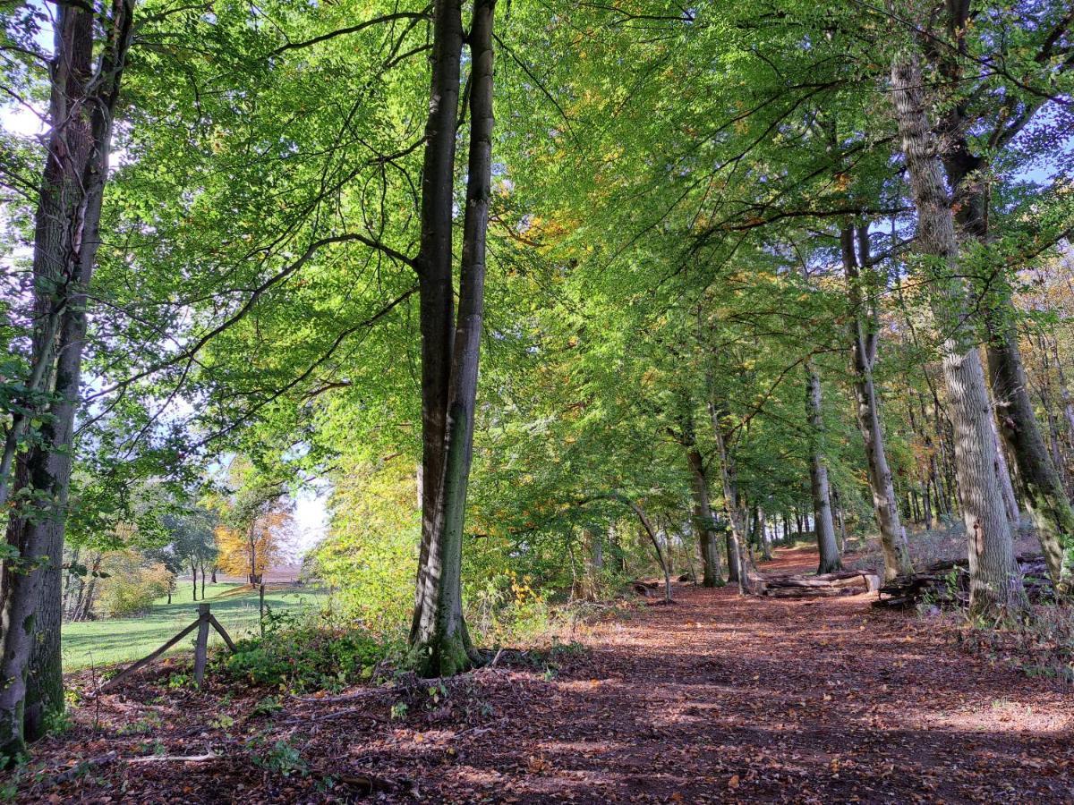Steewer Landhaus Gemuetliche Ferienwohnung Bis 6 Pers In Ruhiger Ortsrandlage Stebach Экстерьер фото