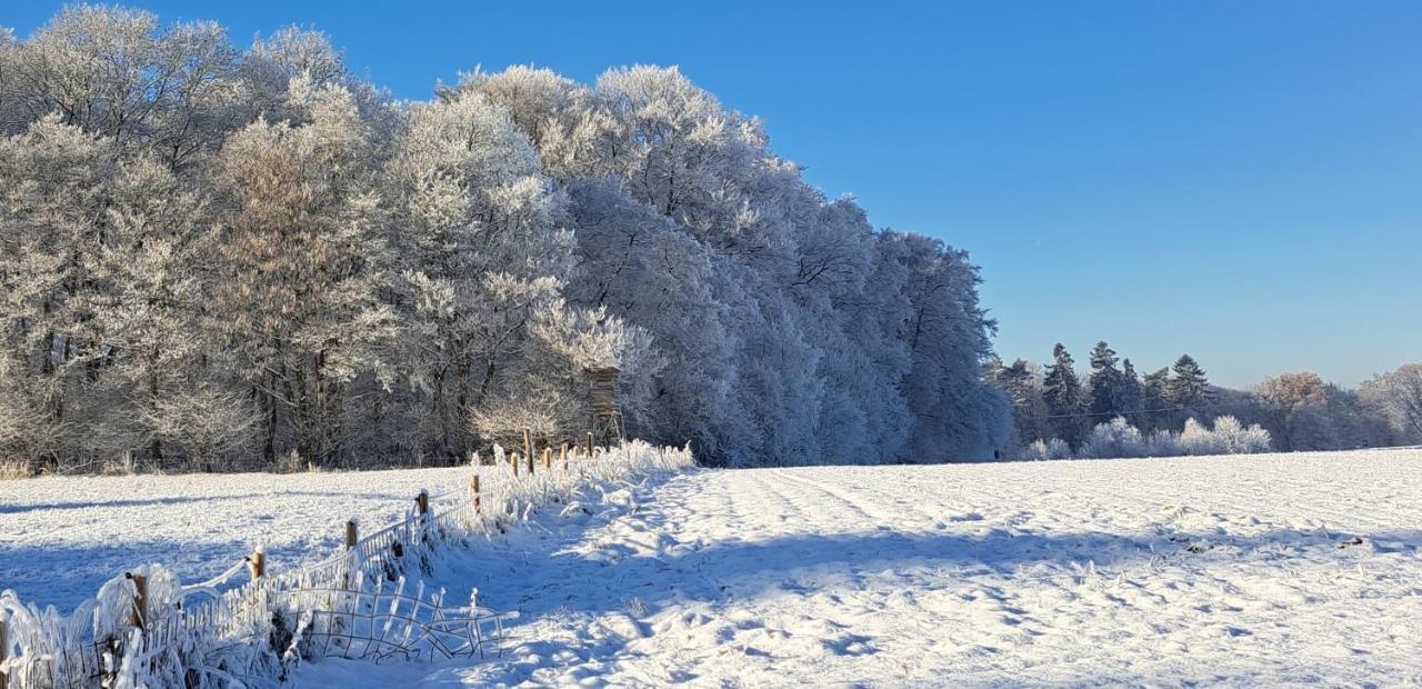 Steewer Landhaus Gemuetliche Ferienwohnung Bis 6 Pers In Ruhiger Ortsrandlage Stebach Экстерьер фото