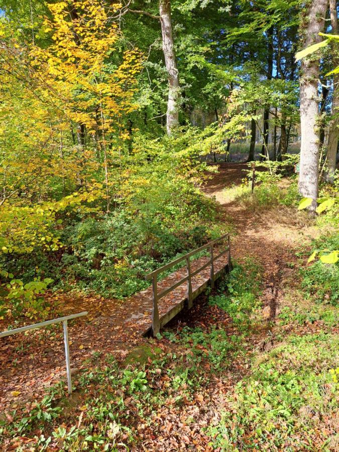 Steewer Landhaus Gemuetliche Ferienwohnung Bis 6 Pers In Ruhiger Ortsrandlage Stebach Экстерьер фото